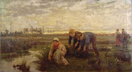 Tagliatori di canne