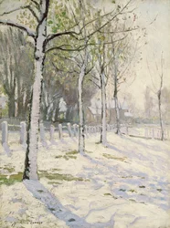 Pioppi nella neve