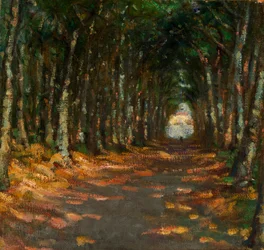 Allee dans le Parc