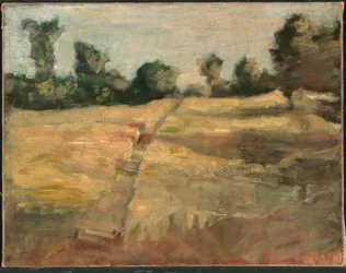 Il campo, ca. 1892