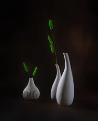 Eleganti vasi con vegetazione