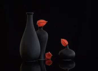 Natura morta con physalis arancioni