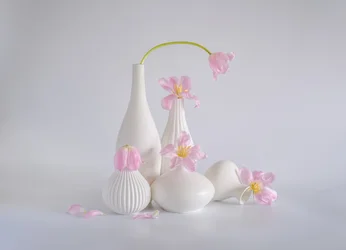 Natura morta con tulipani rosa tenue