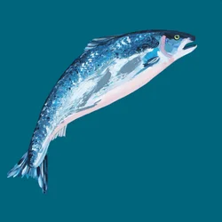 Il salmone blu che salta