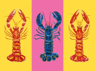 Aragosta e scampi Pop Art 2
