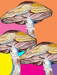 Pop art sui funghi psichedelici