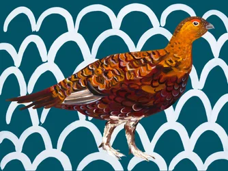 Motivo di gallo cedrone rosso e verde acqua