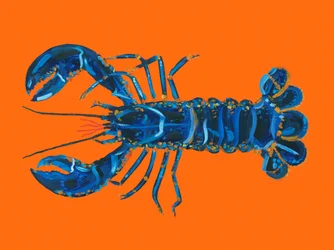Aragosta blu brillante