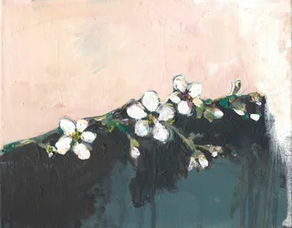 Fiori di mandorlo in primavera