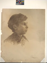 Testa