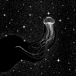 Il sogno della medusa cosmica