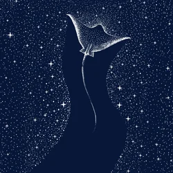 Manta cosmica