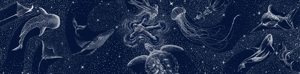 Sogno dell