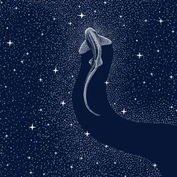 Squalo cosmico