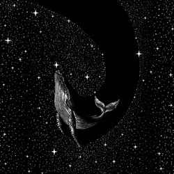 Balena cosmica
