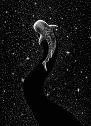Squalo balena cosmico