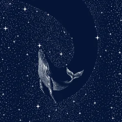 Balena nella notte stellata