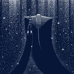 Starry Ocean Diver