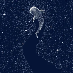 Squalo balena stellato