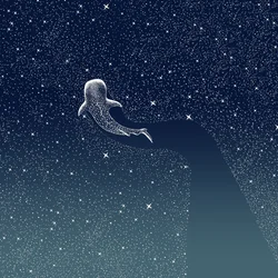 La Galassia dello squalo balena