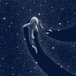 Viaggio nella galassia dello squalo balena