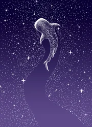 Nuotata nella Galassia degli squali balena