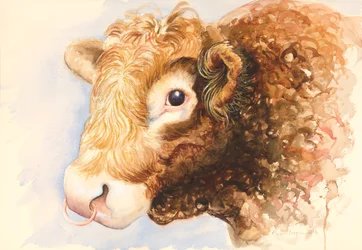 Adamo il Toro, 2016, acquerello