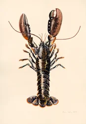 Aragosta di Solva