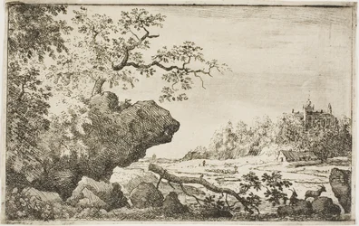 Ramo di un albero