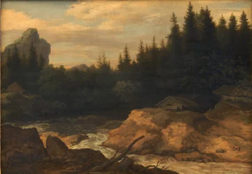 Il fiume nella foresta di pini