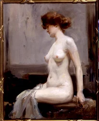 Il Modello