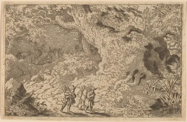 Una foresta fitta
