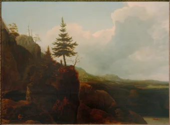 Paesaggio montano con abete