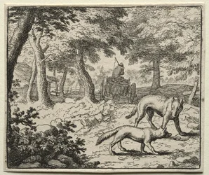 Reynard la Volpe: La difesa dei Tassi di Reynard