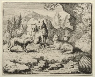 Reynard la volpe: Il gatto chiama Reynard a corte