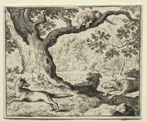 Reynard la Volpe: Il gatto sleale
