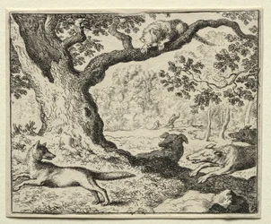 Reynard la Volpe: Il Gatto Sleale