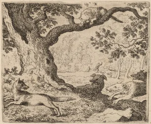 Il padre di Reynard e il gatto inseguito dai cani