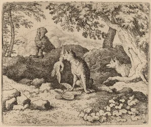 Il tasso va ad avvertire Reynard