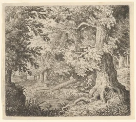 Il ruscello nel bosco, XVII secolo