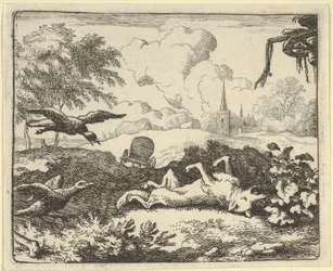 La lettura di un