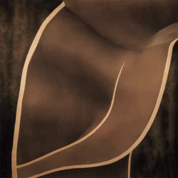 Curve sinuose color marrone
