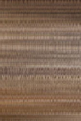 Vene del legno dal tono terroso