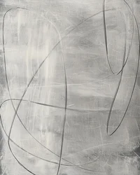 Linee argentate sinuose