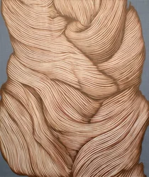 Ciocche fluenti e ricche di texture