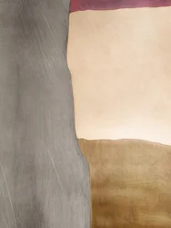 Campi di colore organici