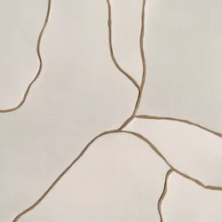 Linee sinuose organiche