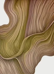 Linee sinuose organiche