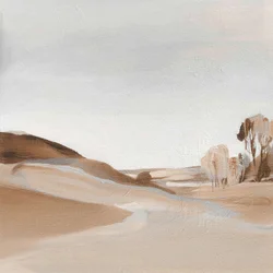 Paesaggio sereno del deserto