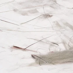 Linee morbide e sinuose